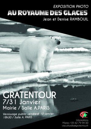 exposition photo " au royaume des glaces "