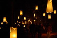 Tout Foix Tout Flamme #2