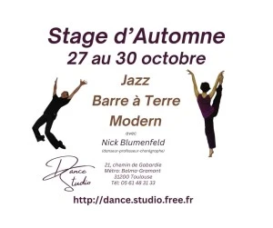 Stage de Danse Vacances d'Automne à Toulouse