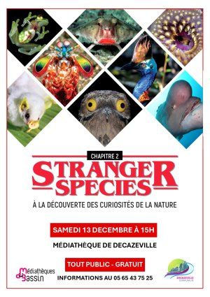 Stranger species | Chapitre 2 : A la découverte des curiosités de la nature