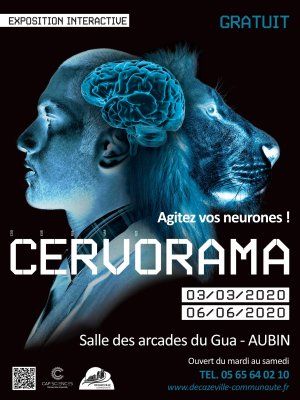 CERVORAMA - Exposition interactive sur le cerveau