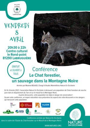 Conférence Le Chat forestier