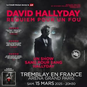 David Hallyday REQUIEM POUR UN FOU 
