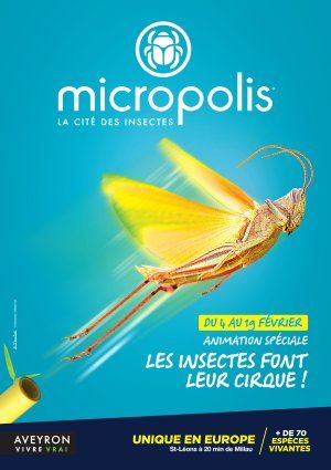 A Micropolis "LES INSECTES FONT LEUR CIRQUE !"