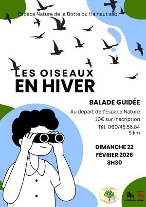 Les oiseaux en hiver