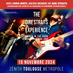 THE DIRE STRAITS EXPERIENCE 