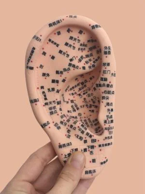 Festival The Opposite Of Fatalism #5 - Lauren Tortil