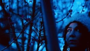 Conte de la Taïga Cie Brigand