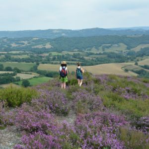 "Entrer dans le paysage" sortie nature et rencontre 