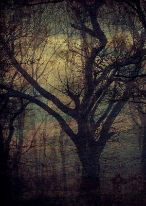 Installation multimédia en sortie de résidence à Conques