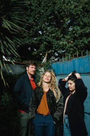 IMPERMANENCE - Lioness Shape