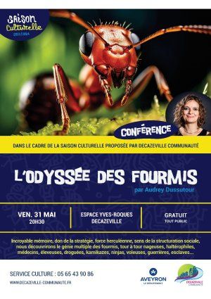 L'odyssée des fourmis