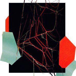 Tarentule - De Mona Richard