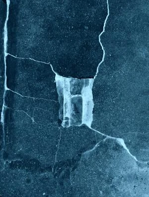 Expositions mimèsis*