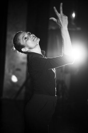 L'audace du papillon - Farouche cie