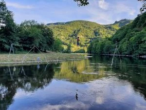 Vif - Maël Commard - Cirque des petites natures