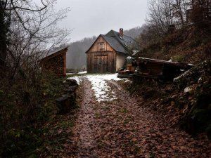 Panorama De La Jeune Photographie 