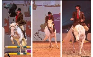 « La Méthode Bolino » Spectacle équestre technique… et résolument drôle !