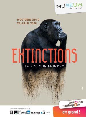 Extinctions : la fin d'un monde ? 