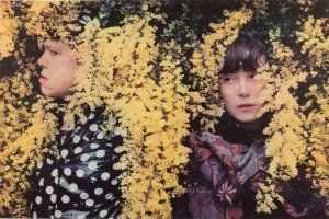 "Les Oiseaux" de Myriam Richard