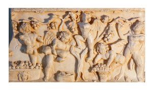 Visite thématique : de la vigne au vin