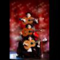 OLE ! FLAMENCO COMEDY SHOW