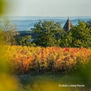 27ème édition Ronde du Gaillac Primeur®