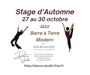 Stage de Danse Vacances d'Automne à Toulouse
