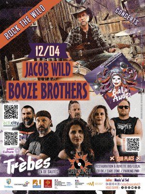 JACOB WILD + BOOZE BROTHERS - Rock the Wild