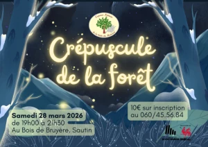 Le crépuscule de la forêt - Balade guidée