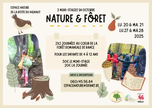 Minis-stages d'automne 2025 : Nature & Forêt
