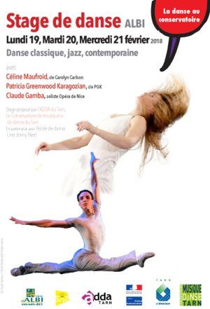 STAGE DE DANSE CLASSIQUE, CONTEMPORAINE, JAZZ