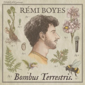 REMI BOYES