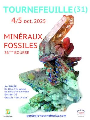 36ème Bourse aux Minéraux et Fossiles de Tournefeuille