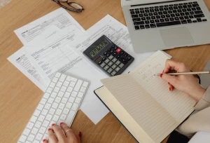 WIKIPALOMA - LES SOURCES DE REVENUS DE L'ARTISTE