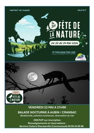 Balade nocturne insolite