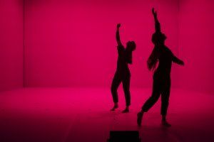 Wonderland - Cie Sylvain Huc