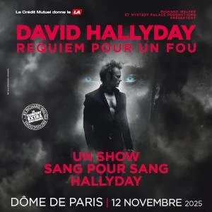 Requiem pour un fou David Hallyday