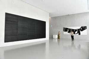 Pierre Soulages. La rencontre