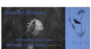 Êtes-vous fleur bleue ? • Atelier d'écriture