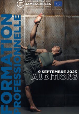 Audition - Formation professionnelle 