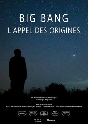 Projection - rencontre autour du film "Big Bang - L'appel des origines" de Dominique Regueme