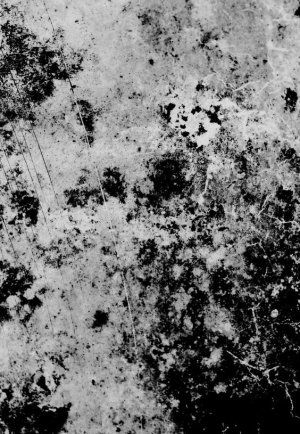 Le lierre aura raison du mur - poète en résidence