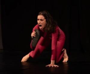On fait pas d'omelette sans casser des œufs - Marie Bégasse - Collectif La Bleuze