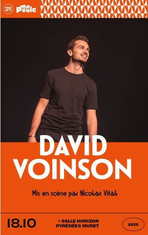 David Voison