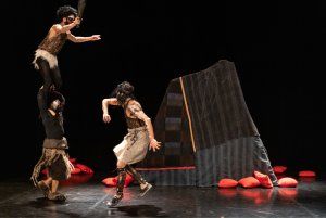 L'apprentie compagnie / Caroline Obin - Homo Sapiens