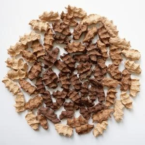 " How I fell in love with the enemy " de Lucie Havel