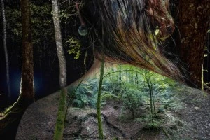 "Rester Sauvage"