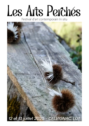 Festival Les Arts Perchés