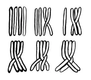 Mystère de printemps - Finissage de l'exposition Sempervirent·e